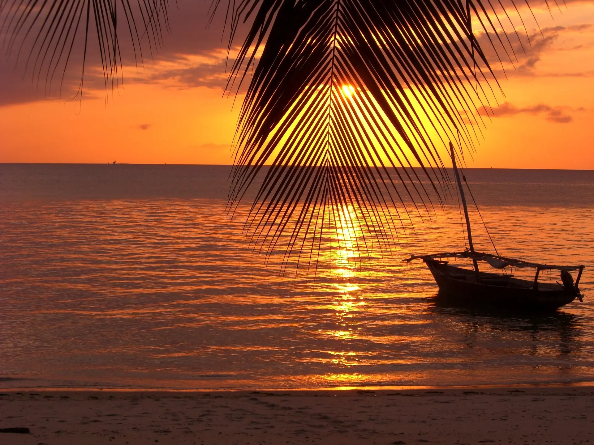 Top things to do in Zanzibar